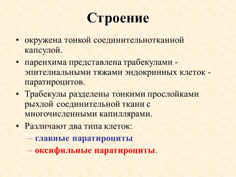 Строение  окружена тонкой соединительнотканной капсулой.  паренхима представлена трабекулами - эпителиальными тяжами эндокринных